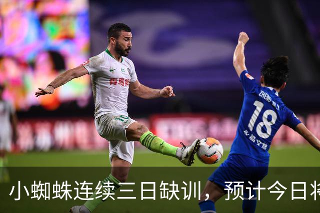 小蜘蛛连续三日缺训，预计今日将独自进行训练