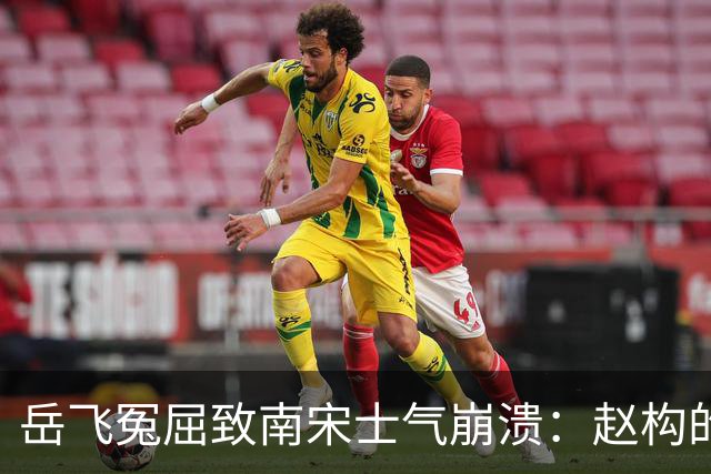 岳飞冤屈致南宋士气崩溃：赵构的求援无人回应